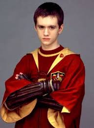 Ac948f92e0f56b63b20aa584f77606c3 Jpg 1102 1500 Oliver Wood Harry Potter Oliver Wood Harry Potter Quidditch