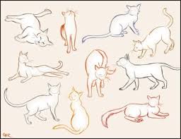 Cat Sketches By Inonibird Cat Sketch Animal Drawings Cat Pose
