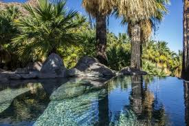 Oasis Canon De Guadalupe Mexicali Aguas Termales Fotos Naturaleza