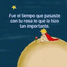 Fue El Tiempo Que Pasaste Con Tu Rosa Lo Que La Hizo Tan Importante Frasesquemegustan Frases Celebres Del Principito El Principito Frases El Principito
