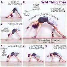 Flip Your Down Dog Into The Wild Thing Basic Yoga Poses Learn Yoga Poses Yoga Backbend