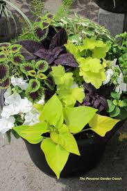 Containers Sassy Or Classy Plants Container Gardening Garden Containers