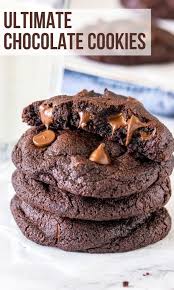 Soft Batch Double Chocolate Cookies Recipe In 2020 Sweet Treats Recipes Chocolate Cookies Cookies Recipes Chocolate Chip