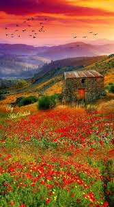 Pin Di Ezanin Su Belleza Paesaggi Pittura A Olio Fiori