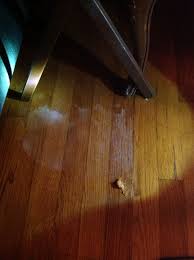 Pin On Remove Stain From Wood Floors