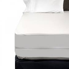 Pin On Bed Bug