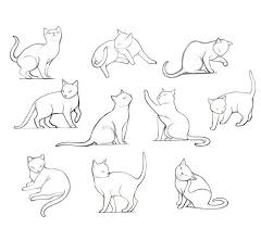 Animal Study Cat Basic Animal Drawings Animal Basic Cat Drawings Study Cat Drawing Tutorial Cat Anatomy Simple Cat Drawing