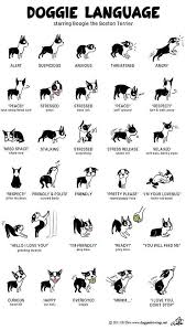 Dog Posture Meaning Dog Language Dog Body Language Pets