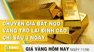 Gia Vang Mới Nhất Hom Nay 11 6 2020 Chuyen Gia Bất Ngờ Vang Trở Lại đỉnh Cao Chỉ Sau 3 Ngay Fbnc Youtube