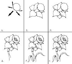 Fiori Facili Da Disegnare Petali Stelo Foglie Tutorial Passaggi Matita Foglio Bianco Disegno Di Fiori Schizzi Di Fiori Disegni A Matita Colorate