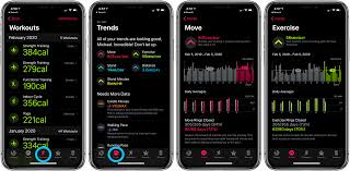 Health or fitness tracker app on mobile phone vector, flat cartoon smartphone steps or run tracking data and pulse or heartbeat medical information on screen, cellphone sport activity counter\n #ad , #aff, #flat#vector#cartoon#steps. Apple Watch How To See Your Workout History And Trends 9to5mac