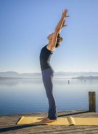 Tadasana Mountain Pose Easy Yoga Poses Easy Yoga Yoga Asanas