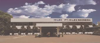 Pt Hi Lex Indonesia Banyak dari techologies baru yang dihasilkan telah industri dan dunia pengalaman pertama.