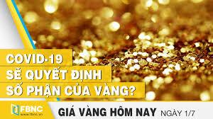 Gia Vang Hom Nay 1 7 2020 Covid 19 Sẽ Quyết định Số Phận Của Vang Fbnc Youtube