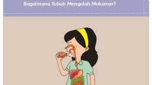 Kunci Jawaban Tema 3 Kelas 5 Halaman 23 24 25 26 Pembelajaran 3 Subtema 1 Buku Tematik Tribun Padang