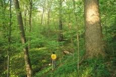 Rowe Woods Cincinnati Nature Center Milford Oh Place To Shoot Nature Center Milford