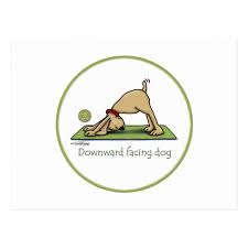 Yoga Downward Facing Dog Postcard Zazzle Com Downward Facing Dog Personalized Yoga Mat Upward Facing Dog Pose