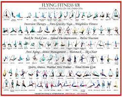Omni Gym Yoga Swing Turning The World Upside Down Since 2001 Aerial Yoga Poses Aerial Yoga Yoga Swing Poses