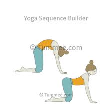 Your knees will be hip distance apart and your hands will be directly under, or slightly in front of. Cat Cow Pose Yoga Bitilasana Marjaryasana Yoga Sequences Benefits Variations And Sanskrit Pronunciation Tummee Com In 2020 Cat Cow Pose Cow Pose Yoga Cow Pose