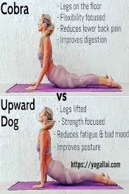 Amazing Benefits Of Cobra And Upward Dog Yoga Pose Yogallai Yoga For Beginners Yoga Help Yoga Poses For Beginners