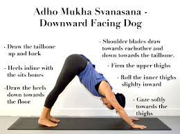 Adho Mukha Svanasana Downward Facing Dog Yoga Tips Downward Facing Dog Downward Dog