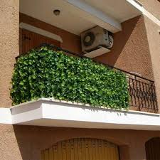 Esta planta es la versión colgante de la petunia. Como Elegir Las Plantas Para Mi Balcon Trepadoras Plantas Colgantes De Sol Plantas Terraza Plantas Colgantes