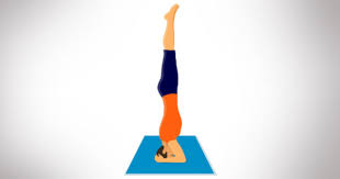 Sirsasana The Yogic Headstand Head Stand Pose The Art Of Living India