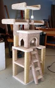 Her mother, the deputy, cinderflight, and her father, a former kittypet and now a great warrior, whitetail, have two kits, cloudheart and nightfrost. Custom Cat Trees Playtimeworkshop