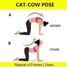 Pin On Tiny Waist Workout