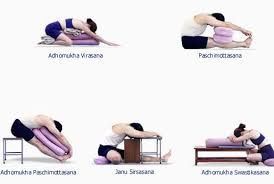 Gentle Stretches Iyengar Yoga Restorative Yoga Yoga Asanas