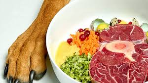 Safe human foods for dogs. What Foods Can My Dogs Eat If I Ve Run Out Of Dog Food