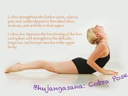 404 Not Found Bikram Yoga Poses Cobra Pose Yoga Cobra Pose