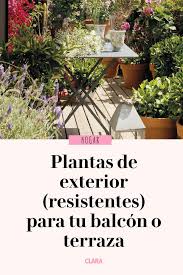 Estos magníficos encantos miden 20 mm de largo, se colocan en ganchos de acero inoxidable y vienen con un tapón de goma para evitar que se caigan! Plantas De Exterior Para Que Tu Balcon O Terraza Parezcan Un Jardin