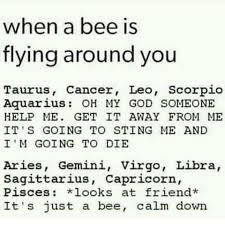 Zodiac Signs Memes Funny So True Funny Zodiac Signs Memes Zodiac Signs Gemini Zodiac Signs Zodiac Signs Astrology