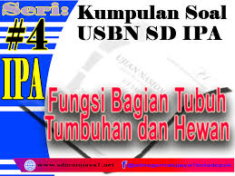 Fungsi Bagian Tubuh Tumbuhan Atau Hewan Apa Yang Sering Diujikan Saat Tryout Sdn Ratujaya 1