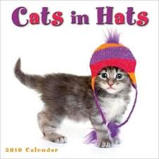 Pets Strike A Pose For New Crop Of Calendars Cat Clothes Cat Hat Cats