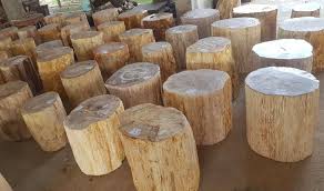 Petrified Stump Side Table Di 2020