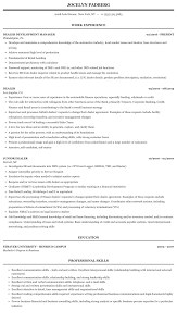 Dealer Resume Sample Mintresume