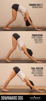 46 Best Picture Downward Dog Position Downward Dog Yoga Pose Downward Dog Yoga Downward Dog Pose