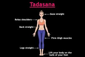 Tadasana Yoga Positions For Beginners Leg Muscles Mountain Pose