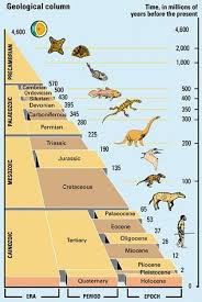 Pin De Carlos Montoya En Earth Facts For Kids Ciencias De La Tierra Ciencias De La Naturaleza Ciencia Natural