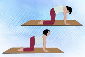 Pin On Exercise