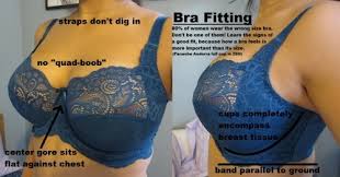 It's true there's a natural tendency to keep wearing the same bra longer than you know you should, even when you know the band is getting stretched out, the cups are beginning to lose their shape, and the straps have started. Do It Now Guide To Proper Bra Fit And Measuring Because Victoria Secret And La Senza And Whatever Are Full Of Shit And You Are Definitely Wearing The Wrong Size Ok Ok Sameatschildren Hi Guys I M
