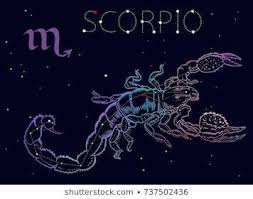30 Gambar Zodiak Scorpio Scorpio Images Stock Photos Vectors Shutterstock Download Kinerja Pegawai Ber Zodiak Scor Scorpio Images Scorpio Best Zodiac Sign