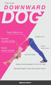How To Do Downward Facing Dog In Yoga The Beachbody Blog Types Of Yoga Yoga Program Yoga Help