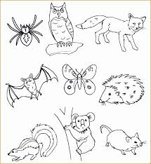 Disegni Di Animali Da Stampare E Colorare Gratis 14 Disegni Animali Del Bosco Da Colorare E Stampare Disegno Di Animali Animali Del Bosco Disegnare Animali