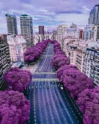Pin De Javier Navarro En Argentina Pinterest Viaje Argentina Argentina Paisajes Y Argentina Turismo