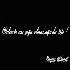 ( nazım hikmet ran ) bakmayın siz benim kuru bir yaprak gibi sallandığıma. Sureya Nazim Asaf Icin 600 Fikir Ozlu Sozler Guzel Soz Siir