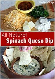 All Natural Queso Dip Low Carb Low Fat Dishes Food Recipes Real Food Recipes Und Yummy Food