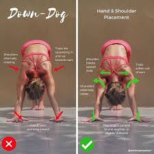 Downward Dog Hand And Shoulder Placement Easy Yoga Workouts Yoga Benefits Yoga Asanas